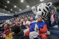 of-ostrava-2